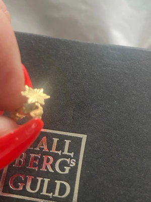 Guldörhängen 18K Hallbergs Guld stjärna stämplade - Snygga små örhängen i guld från Hallbergs Guld med en stjärnformad design. Örhängena har en elegant och detaljrik form som ger en exklusiv känsla. Perfekta för dig som gillar klassiska men ändå unika accessoarer.