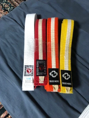 Karatebälten från Budo-Nord - Fyra karatebälten i färgerna vitt, rött, orange och gult från Budo-Nord. Bältena är tillverkade i kraftigt bomullstyg och har tydliga etiketter med logga. Perfekt för dig som tränar kampsport och vill ha olika graderingar.