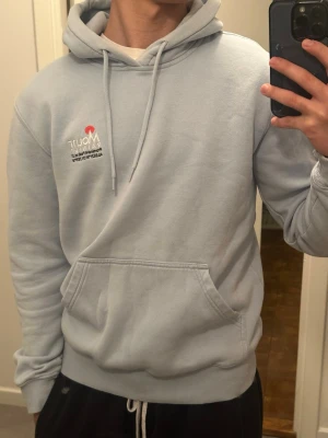 Ljusblå Mount hoodie med tryck - hoodie från Mount med broderat tryck på bröstet. 