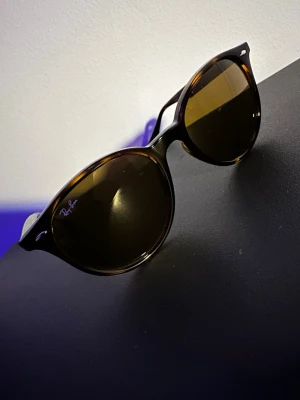 Brun/Svarta Ray-Ban solglasögon Wayfarer - sprillans nya Ray-Ban RB4305 710/73 (storlek 53–19, skalmlängd 145, lins 3N). ink fodral, pris kan diskuteras 