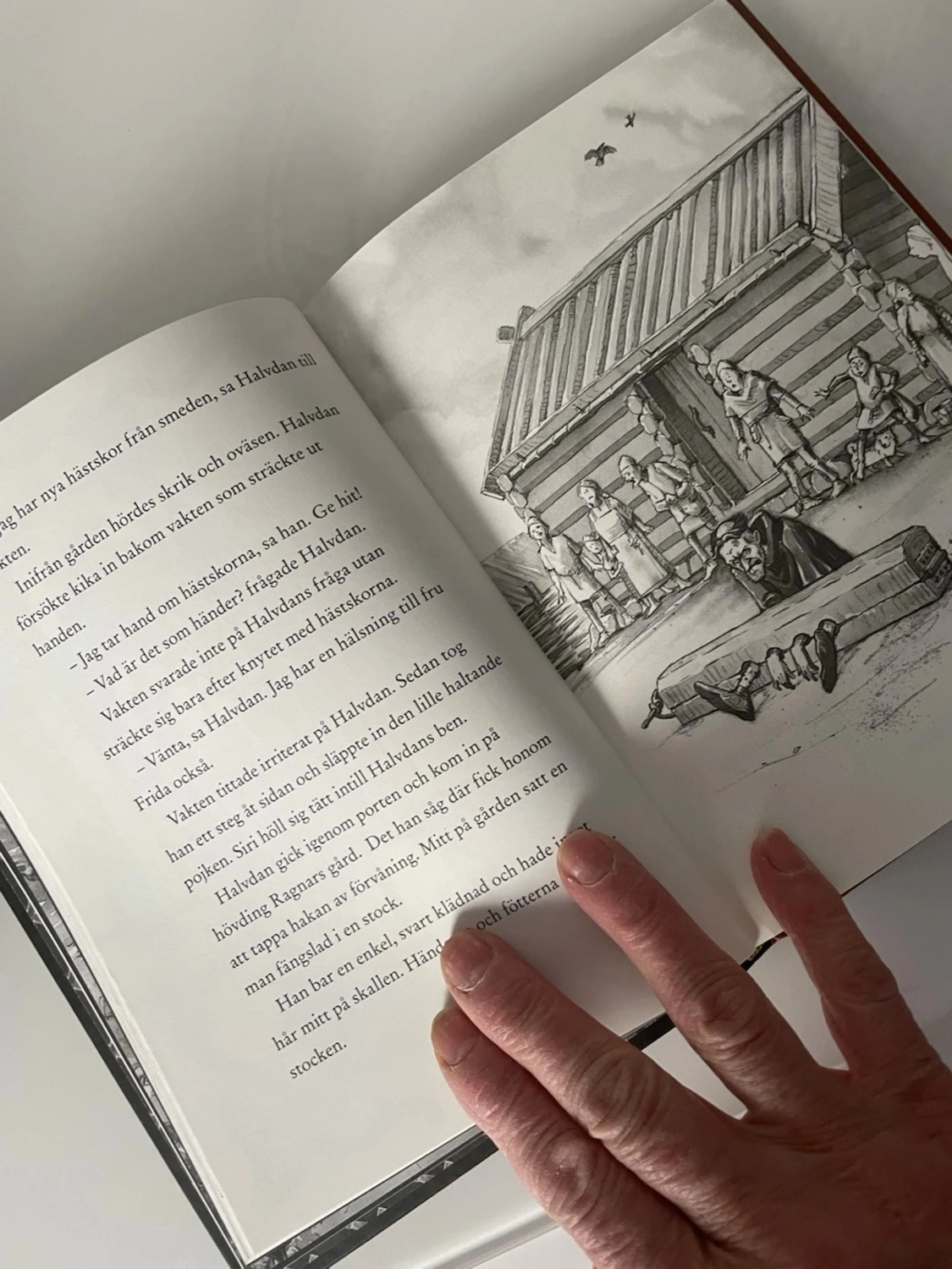 Hövdingens bägare av Widmark - 3