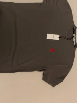 Grå t-shirt från Ami Paris - Snygg grå t-shirt från Ami Paris med röd broderad logga på bröstet. Klassisk rund hals och korta ärmar. Tillverkad i mjuk bomull för en skön känsla. Perfekt till jeans eller shorts.