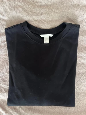 Svart långärmad topp från H&M - En svart långärmad topp från H&M med rund halsringning. Ärmarna har snygga broderade detaljer som ger en extra touch. Tillverkad i mjuk bomull som känns skön mot huden. Perfekt till jeans eller kjol för en clean look.