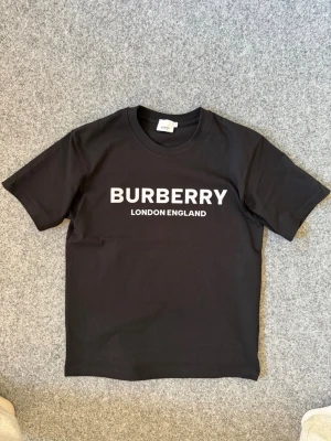 Bberry black t shirt - Size M. true to size, very comfy and fits nice. Questions DM