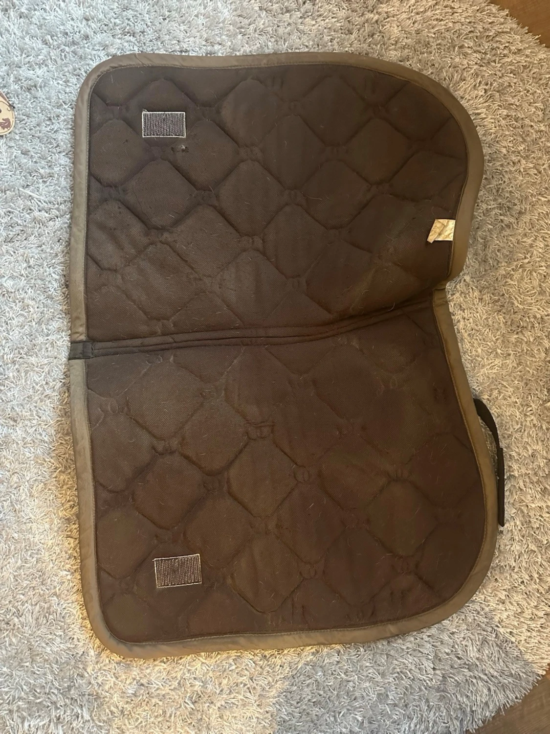 Brunt schabrak från Equestrian stockholm  - 2