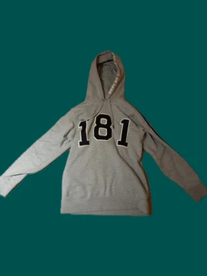 Replay hoodie  - Snygg grå hoodie från Replay med stor svart och vit 181-tryck på bröstet. Huva med tryckt text på kanten och klassisk passform. Perfekt för en avslappnad streetwear-look. Tillverkad i mjukt sweatshirtmaterial.