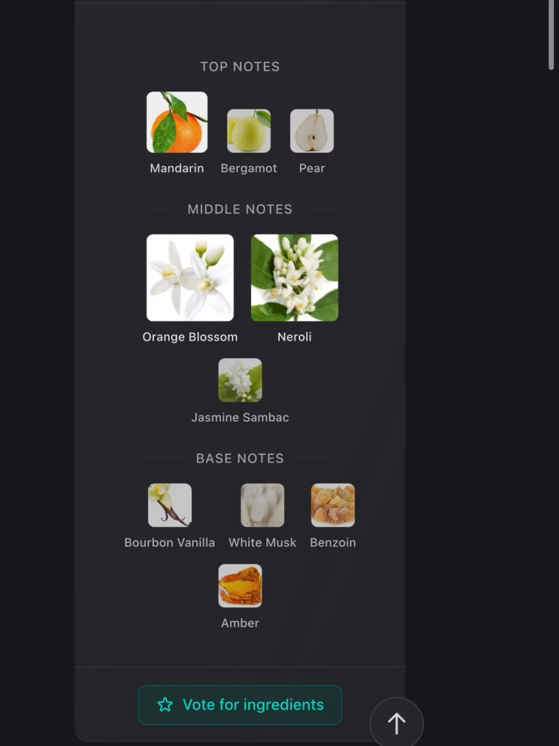 Optimystic Paradox fragrance world  - 2