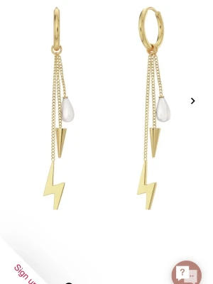 Guldörhängen från Edblad - Snygga örhängen från Edblad. Säljer då dem inte kommer till användning längre. Nypris 449kr