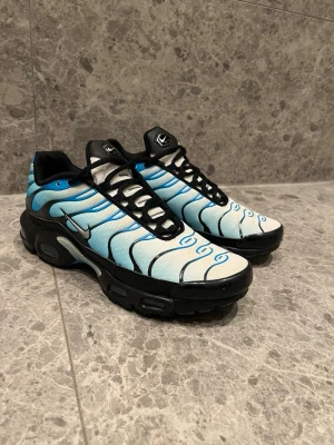 Nike TN skor - Tja! Säljer nu mina as snygga Nike TN skor. Har använts 2-3 gånger och säljs då dem inte kommer till användning. Skriv privat vid minsta lilla fundering!