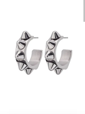 Edblad örhängen  - Fina, bra skick