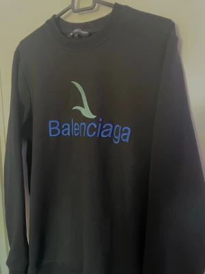 Svart sweatshirt - Cool svart sweatshirt med blått broderat logotyptryck och en ljusgrön detalj på bröstet. Tröjan har rund halsringning och långa ärmar. Perfekt för en avslappnad och trendig stil.