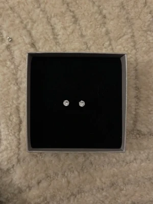 Diamantörhängen stainless steel  - Helt nya, man får inte me asken 