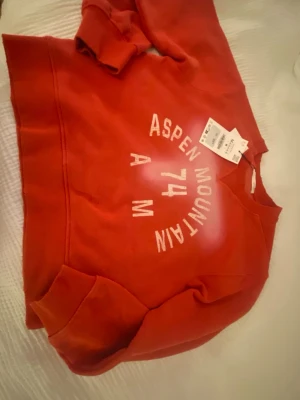 Röd Zara tröja  - Aldrig använt så jättebra skick! Kan gå ner i pris. Skulle säga att den sitter mer som en S, men det är i M😁💓💓