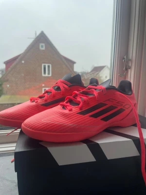 Adidas röda F50 fotbollsskor, stl 38 - Säljer ett par snygga Adidas F50 fotbollsskor i en intensiv röd färg med svarta detaljer och klassiska tre ränder på sidan. Skorna har snörning, låg profil och ovandel i syntetmaterial för lätt känsla och bra bollkontroll. Perfekta för dig som vill sticka ut på planen.