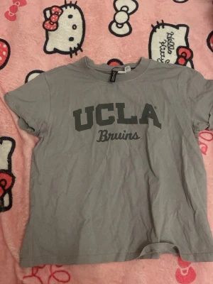 Grå UCLA Bruins t-shirt Divided H&M - Snygg grå t-shirt från Divided H&M med trycket 'UCLA Bruins' i mörkgrå text på bröstet. Klassisk rak passform och rund halsringning. Tillverkad i mjuk bomull, perfekt för en avslappnad och sportig stil.