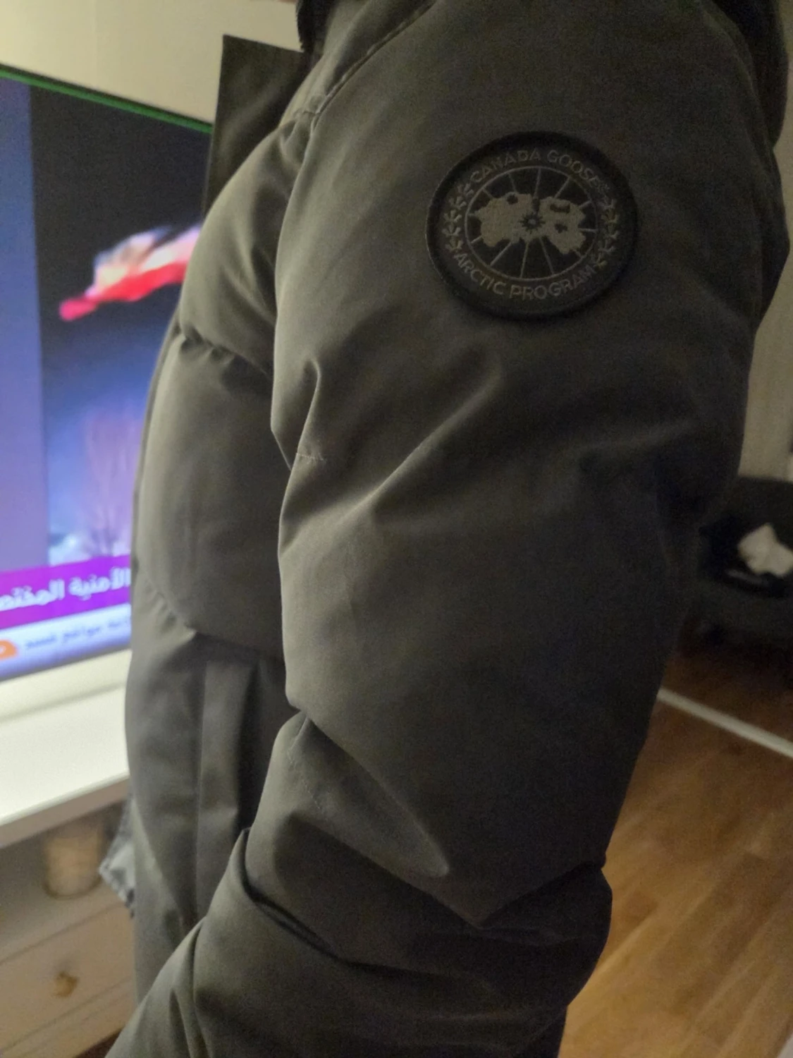 Canada Goose  - 3
