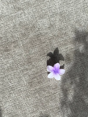 Ljuslila blomformad hårklämma 💜 - Söt hårklämma i form av en blomma med fem kronblad i ljuslila plast. Perfekt för att piffa till frisyren med en färgklick och en lekfull touch. Klämman är liten och smidig, enkel att använda för att hålla undan slingor eller som dekoration.