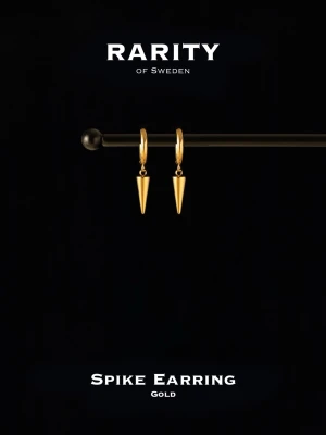 Guld spike örhängen från Rarity - Snygga örhängen i guld från Rarity of Sweden med minimalistisk design. Örhängena har en tunn ring och en hängande, konformad spike som ger en edgy och modern look. Perfekta för dig som gillar stilrena accessoarer med attityd.