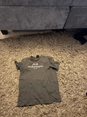 Grå Peak Performance t-shirt - Snygg grå t-shirt från Peak Performance med klassisk logga tryckt i vitt på bröstet. T-shirten har rund hals och korta ärmar, perfekt för en avslappnad stil. Tillverkad i mjuk bomull för skön komfort.