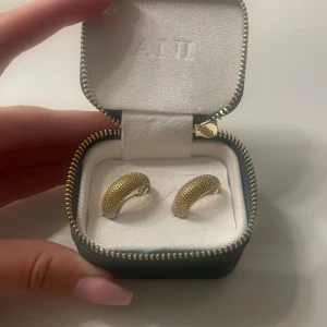 guldiga ANI örhängen - jättefina örhängen från ANI som inte längre används så säljer nu! fint skick och sparsamt använda 😊