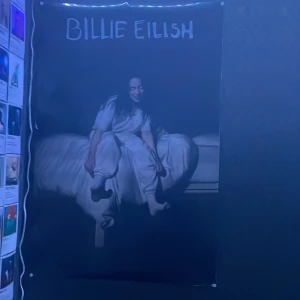 Billie Eilish affisch - Helt okej skick, är en liten skada men den var så när jag fick den. 90x60cm köpte för 100kr säljer för 75kr +frakt, kan mötas upp i Karlstad 