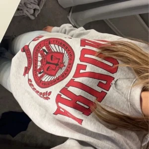 Grå tröja  - I nyskick ❤️