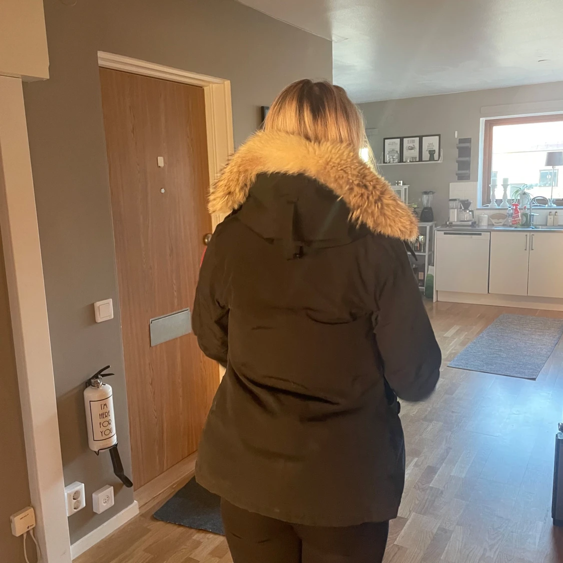 Svart canada goose - 92