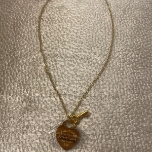 Halsband - Rostfrittstål, helt ny