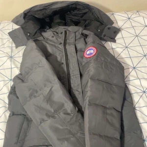 Grå dunjacka från Canada Goose - Säljer min väns canada goose jacka då den inte riktigt va hans stil. Den är helt nytt skick tagsen samt påse finns. Den är riktigt varm o bra för vintern samt i storlek M. Avtagbar päls och riktigt passande nu inför det kalla vädret. Pris går o diskutera i snabb affär mvh:)
