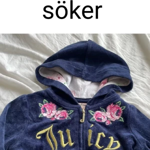 SÖKER! - Vill jätte gärna ha en. Max 200kr