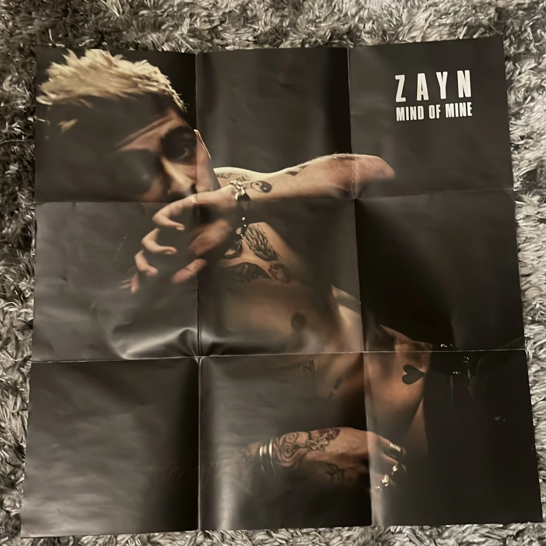 Zayn Malik cd-skivor  - 91