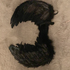 Halloween vingar ängel🖤 - Har används en gång men har lossat lite fjädrar men inget man tänker på💕