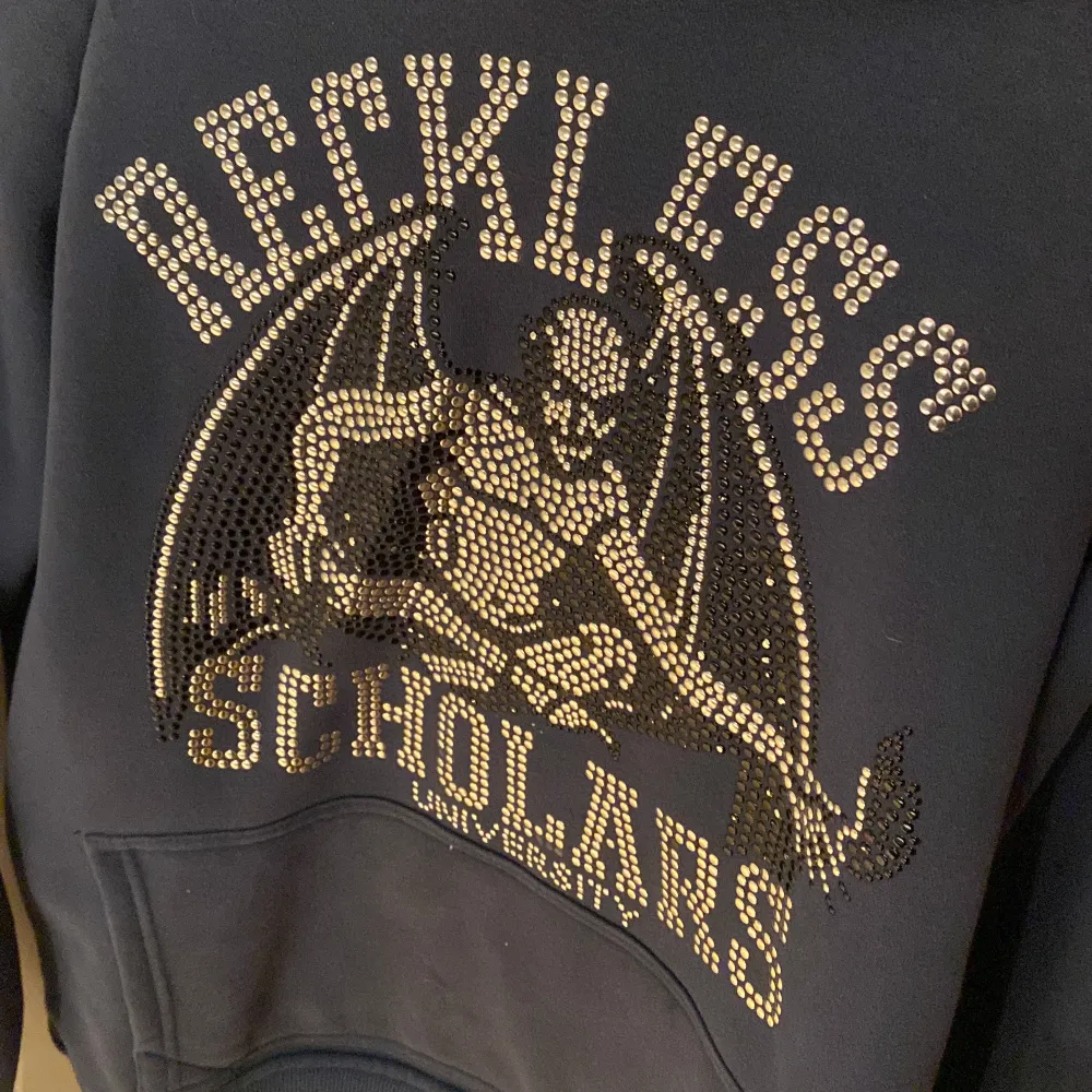 Säljer blå hoodie från Reckless Scholars med ett tryck av ’ reckless scholars' i glittriga stenar , ingen har lossnat. Den har en stor ficka fram och en mysig huva. En liten defekt är en liten röd prick vet inte vart den kommer ifrån :) syns knapp . Köpt för 900. Neuletakit & Villapaidat.