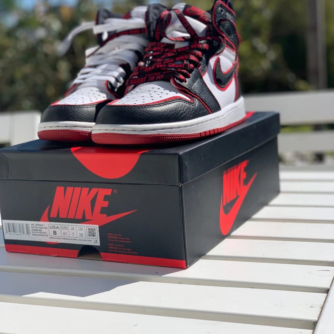 Jordan 1 bloodline