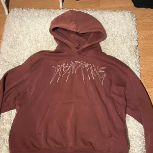 Brun hoodie med insydd text - Säljer en brun hoodie med texten 'REACTIVE' på framsidan. Den har lite fläckar på sig men dem syns inte så mycket. Den har en stor ficka framtill och en bekväm huva. Perfekt för en avslappnad stil och passar bra till höst och vinter. Skön och varm att ha på sig!