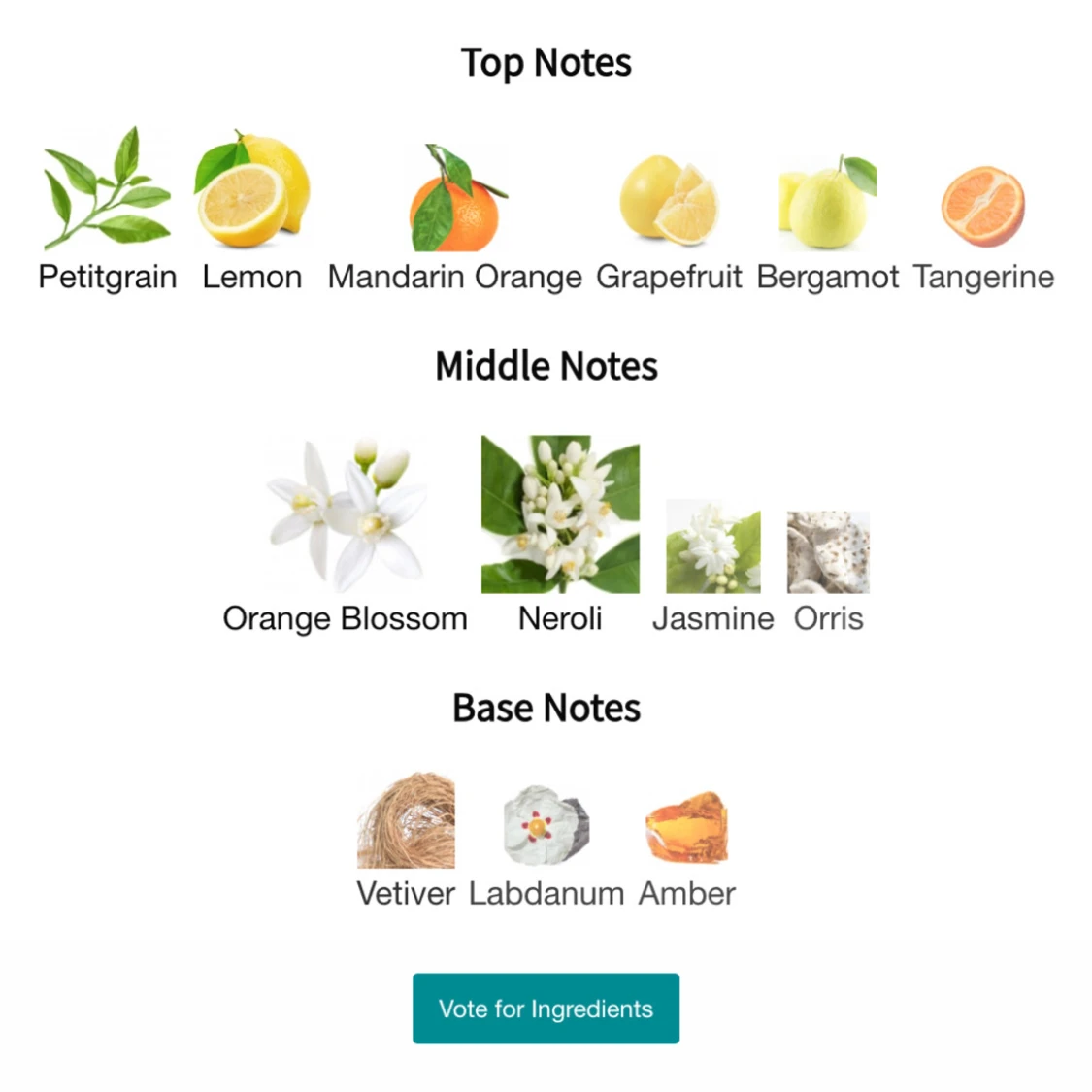 Orange Blossom från The 7 Virtues - 91