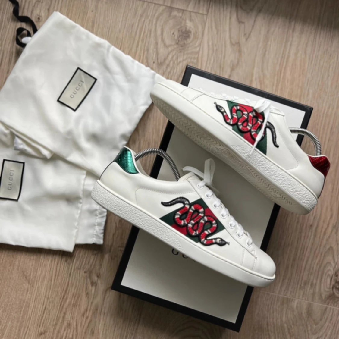 Gucci ace