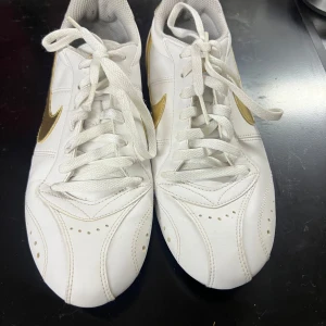 Nike Futsalskor  - Nike futsalskor från Nike, Mycket bra skick, Rekommenderar verkligen dessa till dig som kör inomhus fotboll! & Storlek 36,5 