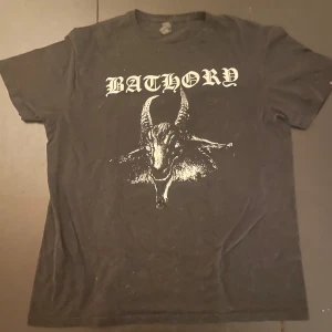 Svart Bathory t-shirt från Gildan - Säljer en svart Bathory t-shirt från Gildan i storlek L. Den har ett coolt tryck med en get på framsidan och en pentagramdesign med text på baksidan. Perfekt för fans av bandet eller för att ge din outfit en edgy touch. T-shirten är i bra skick och gjord av mjuk bomull.