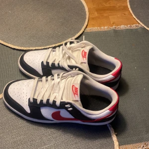 Nike dunks - Jag säljer dessa skor pga av att dom blivit lite små. Jag har använt dom ett fåtal gånger och är hela o rena.
