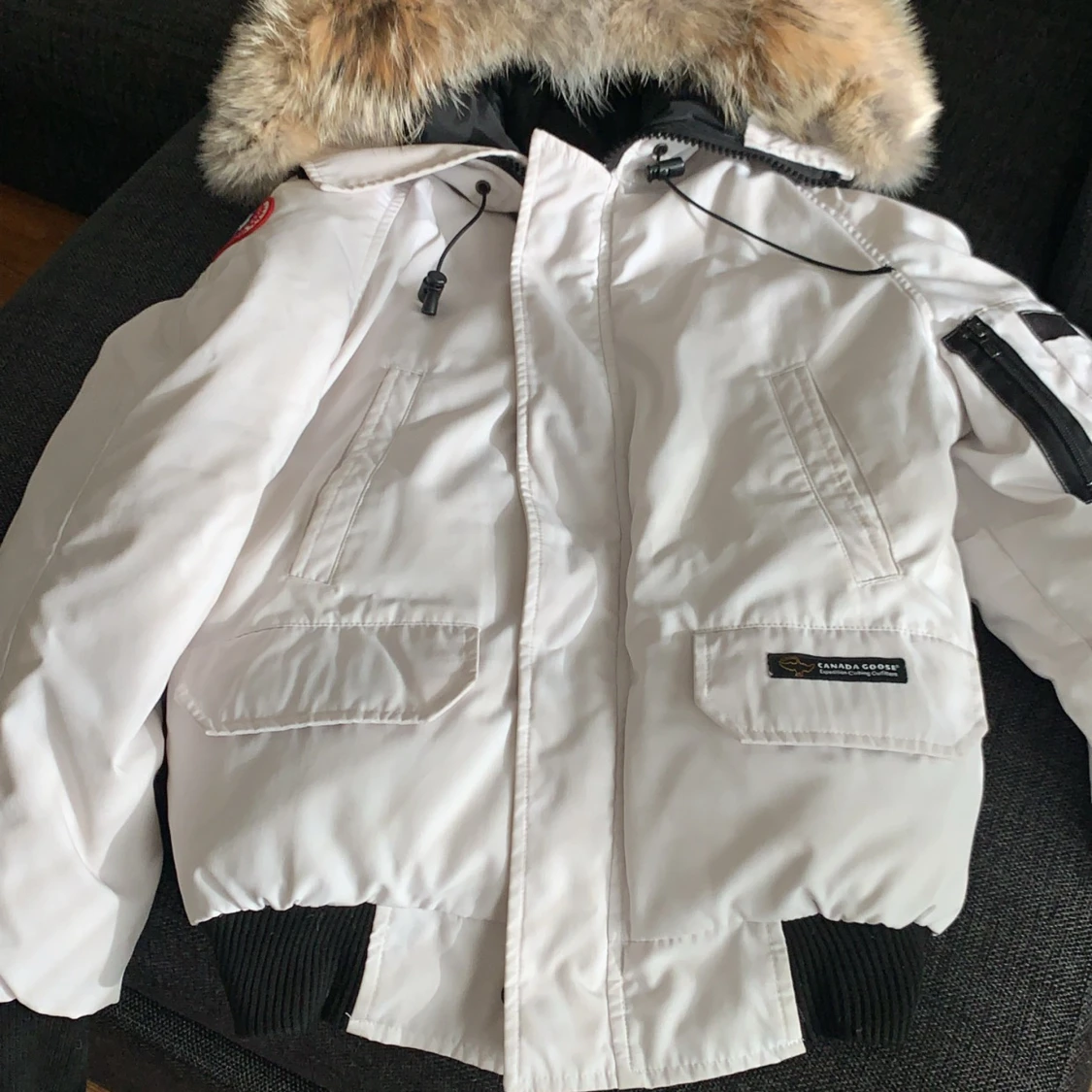 Canada goose chiliwack - 90