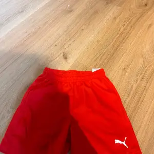 Säljer ett par röda träningsshorts från Puma. De är i nyskick och har en elastisk midja för en bekväm passform. Perfekta för träning eller fotboll. Puma-loggan är vit och sitter på ena benet. Sköna och lätta att röra sig i!