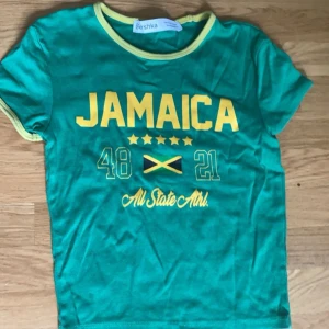 Bershka t-shirts - Två tröjor från Bershka. Super sköna som sitter tajt. Den blåa är oanvänd och har lapp kvar, den gröna är använd ca 3 gånger.   De är som sagt super sköna och har Inga fläckar någonstans! För mer bilder eller diskussion om priset kom privat! 