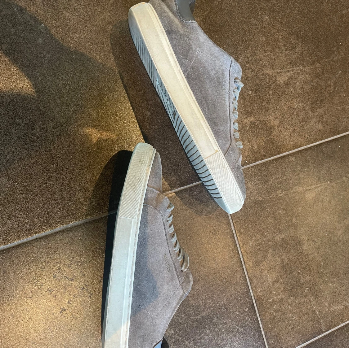 Grå Arigato skor  - 91