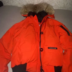 Röd  dunjacka från Canada Goose - Säljer en snygg och varm Röd  dunjacka från Canada Goose. Jackan har en fluffig pälsluva och dragkedja framtill. Perfekt för kalla vinterdagar! ❤️        ”priset kan diskuteras”