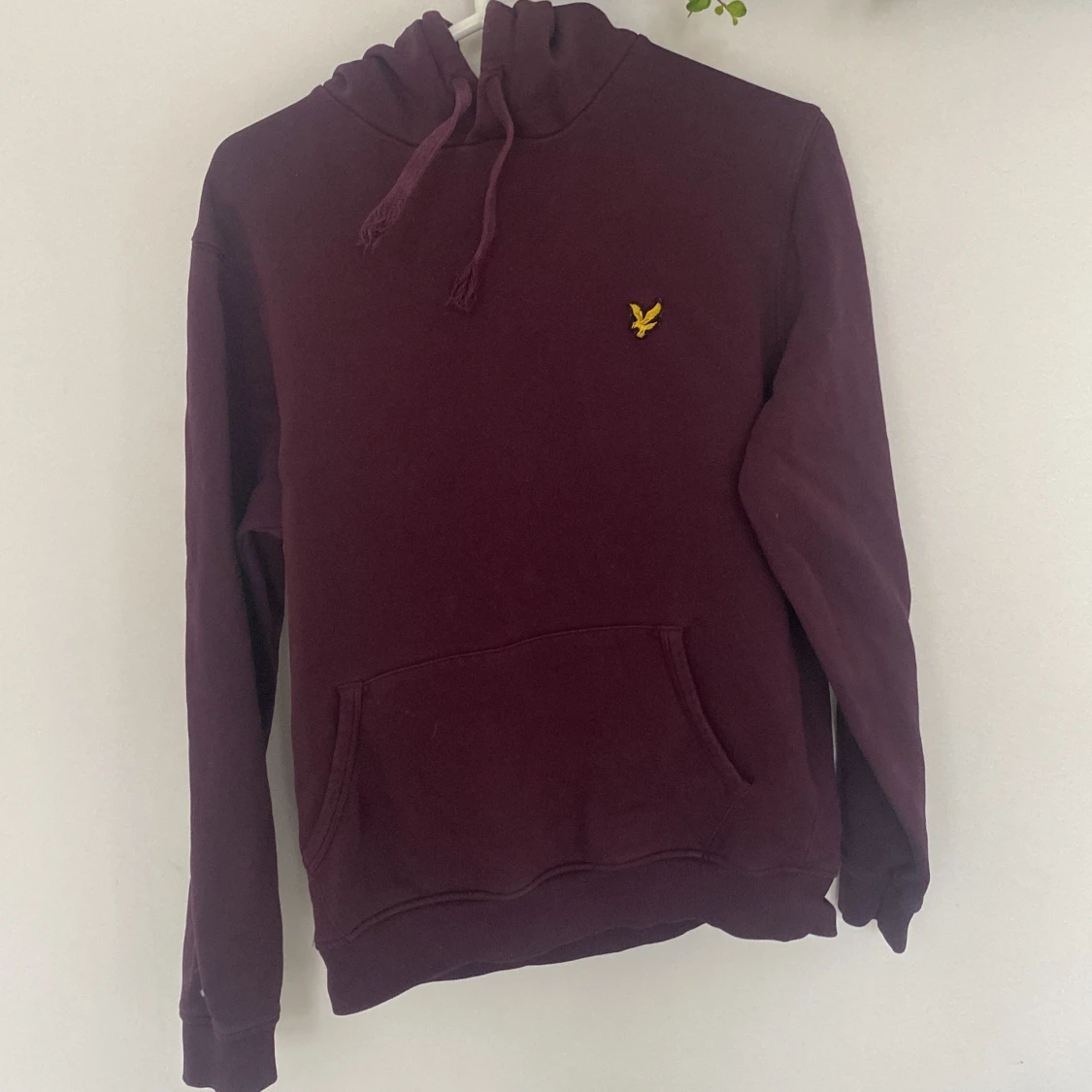 Lyle Scott hoodie