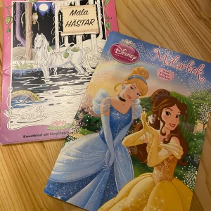 Målarböcker med hästar och Disneyprinsessor - Två målarböcker till salu. En med hästmotiv och en med Disneyprinsessor.