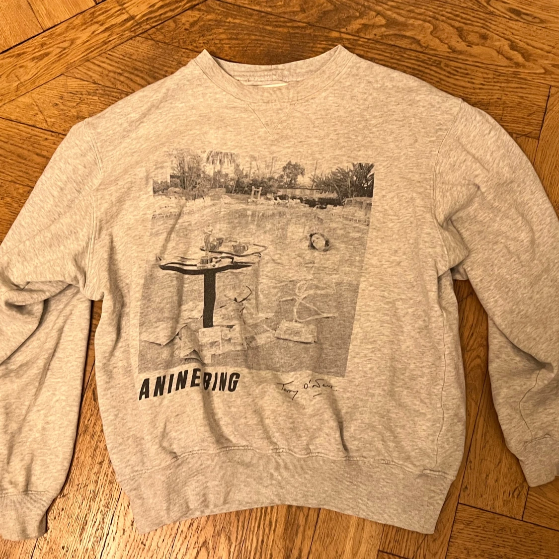 Grå sweatshirt från Anine Bing
