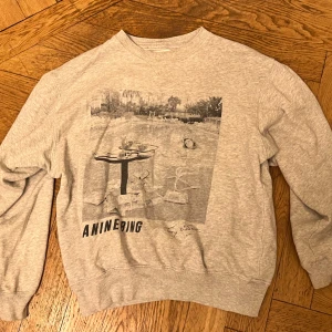 Grå sweatshirt från Anine Bing - Säljer en grå sweatshirt från Anine Bing med ett coolt tryck på framsidan. Tröjan är tillverkad i 100% bomull och har långa ärmar. Perfekt för en avslappnad stil.