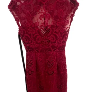 Vinröd spetsklänning från PrettyLittleThing - Elegant vinröd klänning i spets från PrettyLittleThing. Klänningen har ett vackert broderat mönster och en djup v-ringning. Perfekt för speciella tillfällen med sin romantiska design. storlek 10